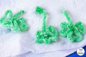 St. Patrick's Day Science Activity for Kids With Shamrock Salt Crystals