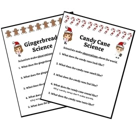 Preview of Candy Cane and Gingerbread Christmas Science Activities