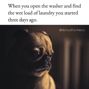another funny laundry meme about leaving it in the washer