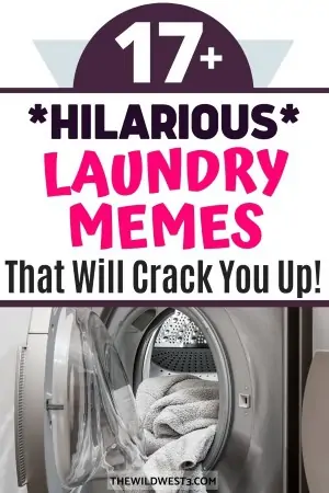 Funny Photos of a Mom Going Down a Laundry Shoot