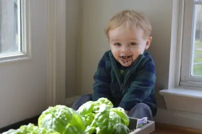 a toddler making parenting difficult by eating dirt from potted plants