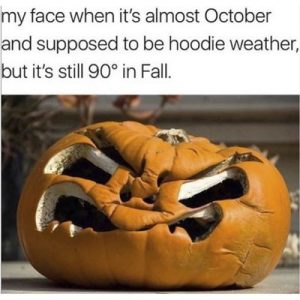 21 Hilarious Fall Memes to Crack You Up When The Seasons Change – The ...