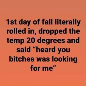 21 Hilarious Fall Memes to Crack You Up When The Seasons Change – The ...